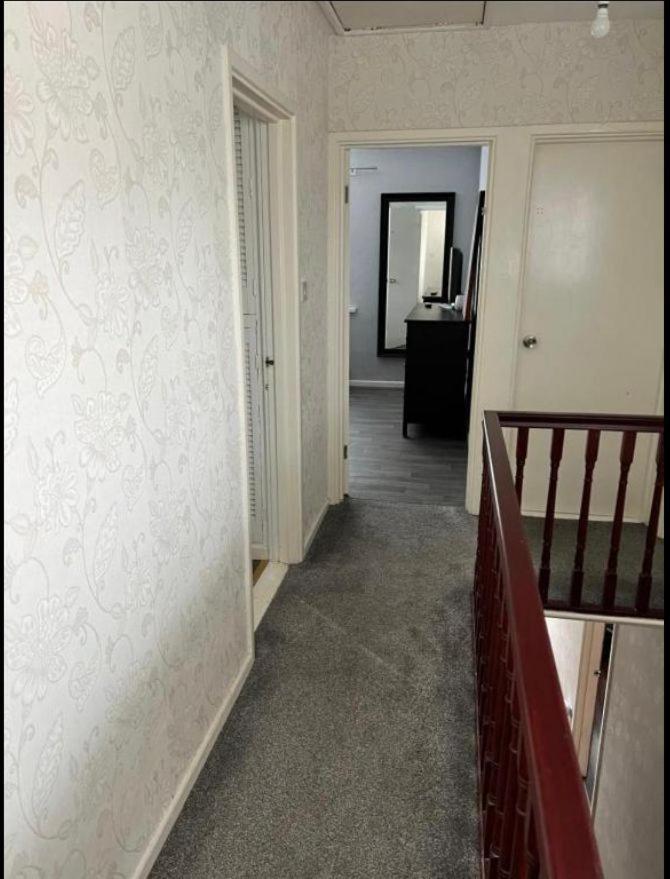 Macs Belfast Single Bedroom Екстер'єр фото